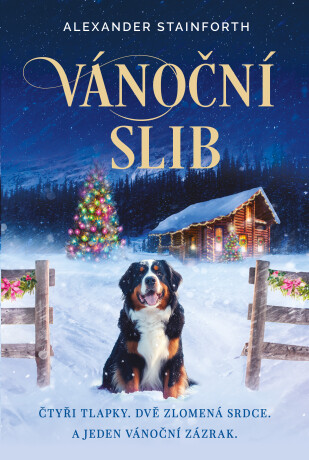 Vánoční slib - Alexander Stainforth
