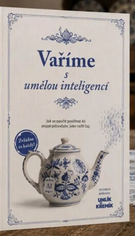 Vaříme s umělou inteligencí - Jak se naučit používat AI stejně jednoduše, jako vařit čaj - David Salomon,Adam Le Hanka