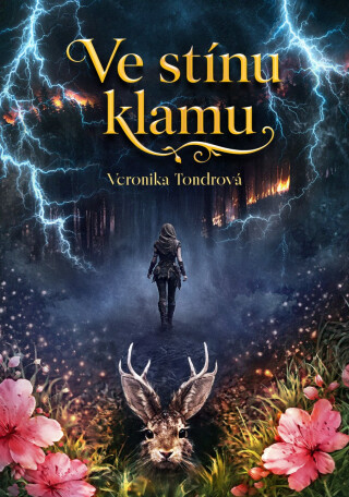 Ve stínu klamu - Veronika Tondrová
