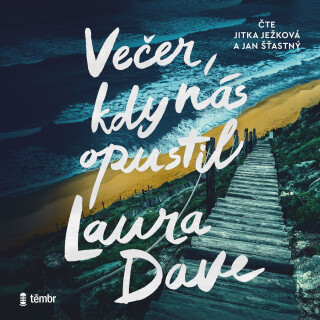 Večer, kdy nás opustil - Laura Dave