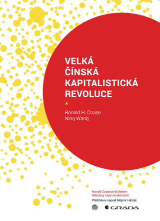 Velká čínská kapitalistická revoluce - Ronald Coase,Ning Wang
