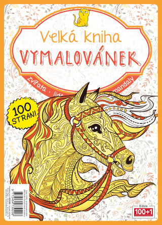 Velká kniha vymalovánek - oranžová - autorů