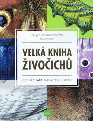 Velká kniha živočichů od jednobuněčných po savce - Více než 1600 barevných ilustrací - kolektiv autorů