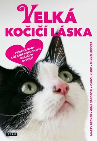 Velká kočičí láska - Marty Becker,Mikkel Becker,Carol Kline,Gina Spadfori