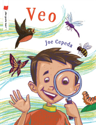 Veo - Joe Cepeda