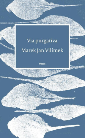 Via purgativa - Vilímek Jan