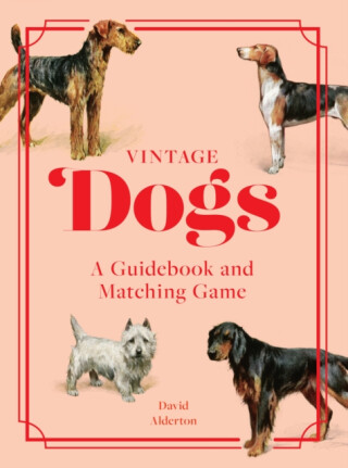 Vintage Dogs - David Alderton