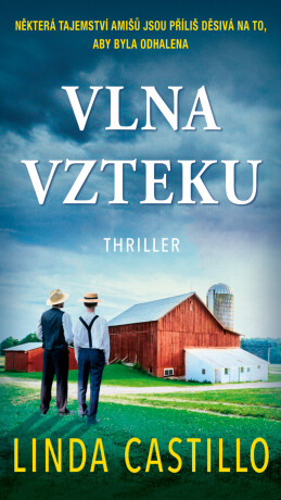 Vlna vzteku - Linda Castillo