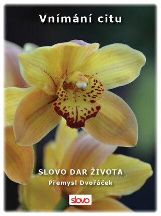 Vnímání citu - Přemysl Dvořáček