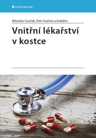Vnitřní lékařství v kostce - Miroslav Souček,Petr Svačina