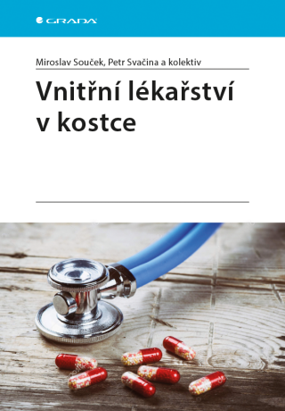 Vnitřní lékařství v kostce - Miroslav Souček,Petr Svačina,kolektiv a