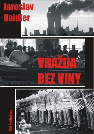 Vražda bez viny - Haidler Jaroslav