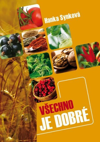 Všechno je dobré - Hana Synková
