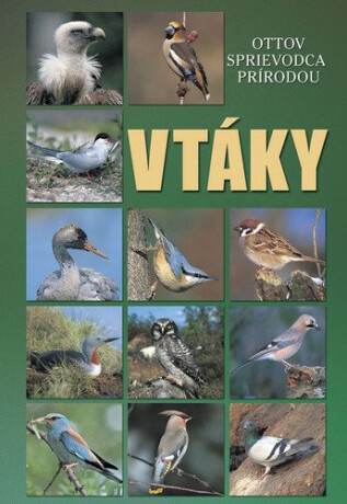 Vtáky (slovensky) - 
