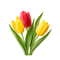 Vůně do svíček 10ml – 13 Tulipány - 