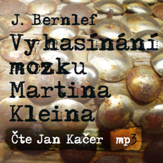 Vyhasínání mozku Martina Kleina - J. Bernlef