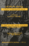 Výlet k nádražní hale/ A Trip to the Train Station - Jáchym Topol,Michal Cihlář