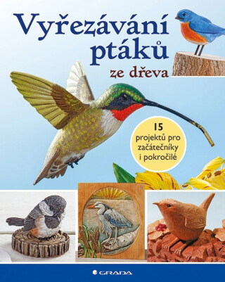 Vyřezávání ptáků ze dřeva - kolektiv a
