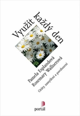 Využít každý den - Pamela Espelandová,Rosemary Wallnerová