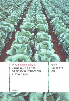 Výzva perspektivy - Petra Hanáková