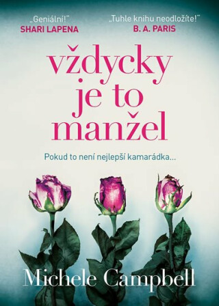 Vždycky je to manžel - Michele Campbell