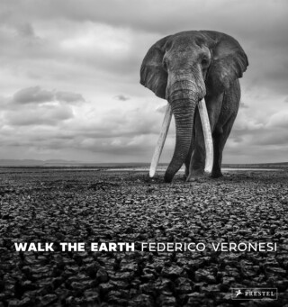 Walk the Earth - Federico Veronesi