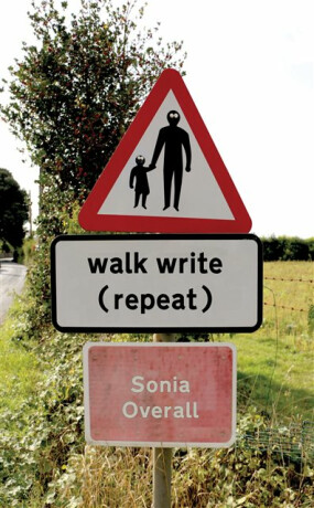 walk write (repeat) - Sonia Overall