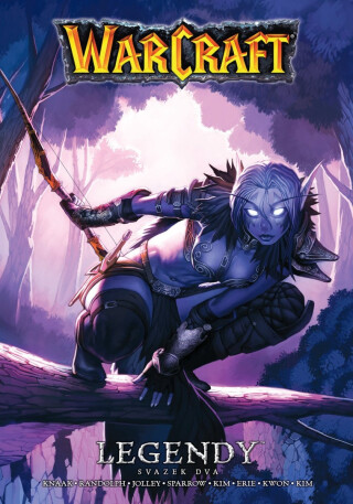 Warcraft - Legendy 2 - Richard A. Knaak,Dan Jolley,Randolphová Grace,Sparrow Aaron