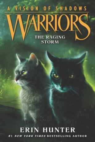 Warriors: A Vision of Shadows #6: The Raging Storm - Erin Hunterová