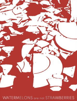 Watermelons Are Not Strawberries - Sandra Bacchi