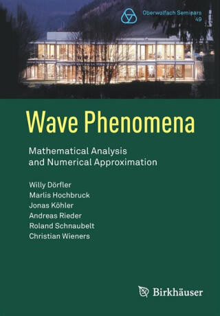 Wave Phenomena - Andreas Rieder,Willy Dorfler,Roland Schnaubelt,Marlis Hochbruck,Jonas Kohler,Christian Wieners