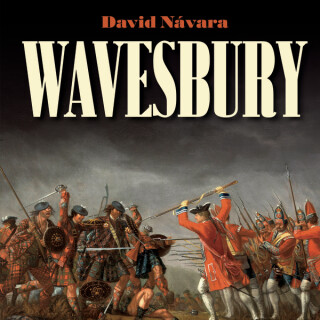 Wavesbury - David Návara