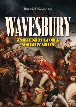 Wavesbury: Zmizení majora Woodwarda - David Návara