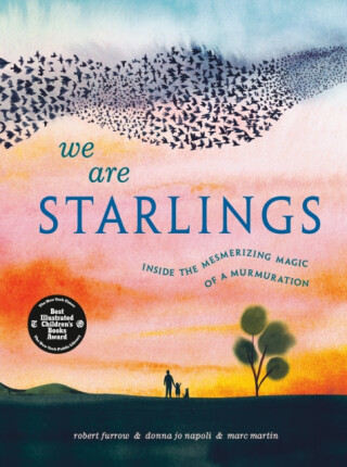 We Are Starlings - Donna Jo Napoli,Robert Furrow