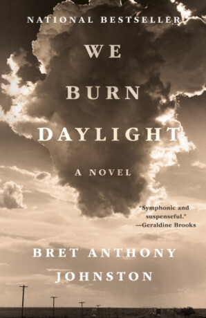 We Burn Daylight - Bret Anthony Johnston