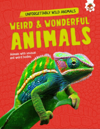 Weird and Wonderful Animals - Emily Kington