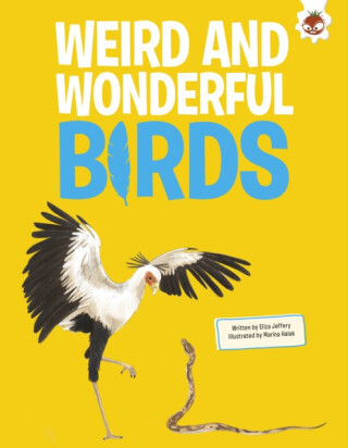 Weird and Wonderful Birds - Rosie Rowntree