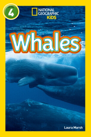 Whales - Laura Marsh,National National Geographic Kids