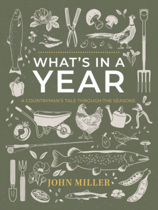 WHAT'S IN A YEAR - John Miller