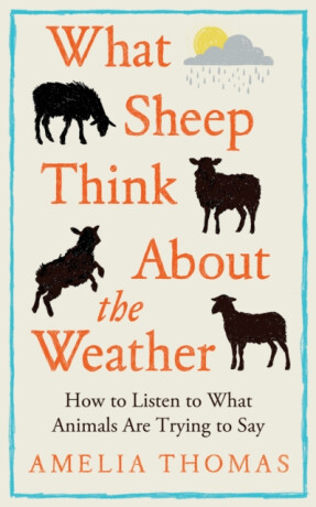 What Sheep Think About the Weather - Amelia Thomas