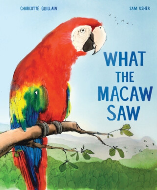 What the Macaw Saw - Charlotte Guillain