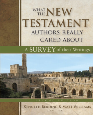 What the New Testament Authors Really Cared About - Matt Williams,Kenneth Berding