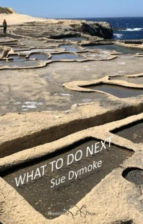 What To Do Next - Sue Dymoke