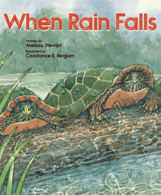 When Rain Falls - 