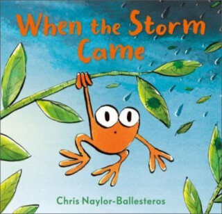 When the Storm Came - Naylor-Ballesteros Chris