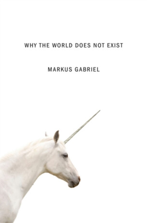 Why the World Does Not Exist - Markus  Gabriel