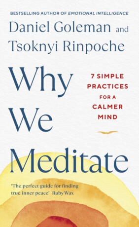 Why We Meditate - Daniel Goleman,Tsoknyi Rinpočhe