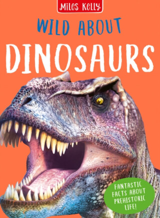 Wild About Dinosaurs - Rupert Matthews