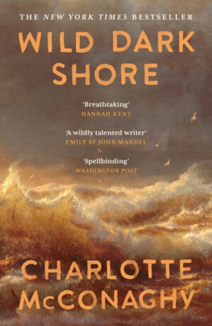 Wild Dark Shore - Charlotte McConaghy