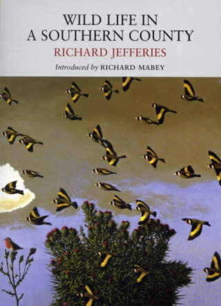 Wild Life in a Southern County - Richard Jefferies